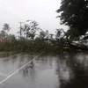 Siêu bão Winston đã tàn phá quốc đảo Fiji vào cuối ngày 20/2. (Nguồn: AP)