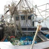 Tàu cá gặp nạn được lai dắt về tới cảng trên Vịnh Yeongil, thành phố Pohang. (Nguồn: Thời báo Kyunghyang)