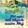 "Tôi nghĩ tôi thích nước Mỹ" - Tập du ký mới nhất của Dương Thụy