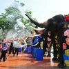Những chú voi phun nước đón khách du lịch nhân dịp lễ Songkran ở tỉnh Ayutthaya, Thái Lan ngày 10/4. (Nguồn: THX/TTXVN)