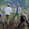 Hợp tác xã - Mô hình trụ cột trong sản xuất nông nghiệp của Cuba