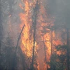 Cháy rừng ở Fort McMurray, Alberta ngày 6/5. (Nguồn: AFP/TTXVN)