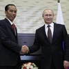 Tổng thống Nga Vladimir Putin (phải) và người đồng cấp Indonesia Joko Widodo trong cuộc gặp ở Sochi (Nga) ngày 18/5. (Nguồn: EPA/TTXVN)