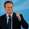 Thủ tướng Anh David Cameron. (Nguồn: AFP/TTXVN)