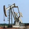 Giàn khoan dầu ở Tioga, Bắc Dakota, Mỹ. (Nguồn: AFP/TTXVN)