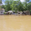Mưa lớn gây ngập lụt tại Granbury, bang Texas ngày 4/6. (Nguồn: EPA/TTXVN)