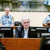 Tòa án ICTY kết án cựu thủ lĩnh người Serbia tại Bosnia Radovan Karadzic 40 năm tù giam. (Nguồn: AFP/TTXVN)