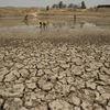 Một cánh đồng khô kiệt do nắng nóng ở Chandampet Mandal, Nalgonda thuộc bang Telangana, miền nam Ấn Độ. (Nguồn: THX/TTXVN)