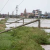 Bão số 1 quật đổ nhiều cột điện cao thế tại Nam Định, gây mất điện lưới nhiều khu vục trên địa bàn tỉnh. (Ảnh: Minh Quyết/TTXVN)