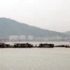 Các tàu hút cát trái phép hoạt động trong vùng đệm di sản Vịnh Hạ Long. (Ảnh: Nguyễn Hoàng/TTXVN)