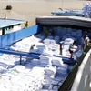 Chế biến tôm đông lạnh xuất khẩu tại Bạc Liêu. (Ảnh: /TTXVN)