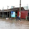 Nước biển dâng cao ảnh hưởng đến đời sống sinh hoạt, kinh doanh của các hộ dân tại thị xã Quất Lâm, huyện Giao Thủy. (Ảnh: Quốc Khánh/TTXVN)