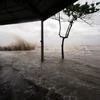 Nước biển dâng cao gây ngập tại thị xã Quất Lâm, huyện Giao Thủy. (Ảnh: Trọng Đạt/TTXVN)