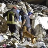 Lực lượng cứu hộ tìm kiếm nạn nhân động đất tại Amatrice, Italy ngày 25/8. (Nguồn: EPA/TTXVN)