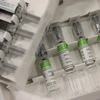 Vắcxin ngừa dịch "cúm lợn" H1N1. (Nguồn: AFP/TTXVN)