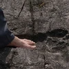 Dấu chân người khổng lồ hóa thạch được phát hiện ở làng Pingyan. (Nguồn: sputniknews.com)