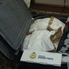 Gần 100kg cocaine thu giữ trên tàu du lịch cập cảng Sydney. (Nguồn: Border Force Australia)