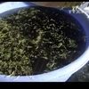 [Video] Phát hiện hơn 1,5 tấn rau muống bào ngâm hóa chất độc hại