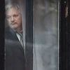 Ông Julian Assange tại Đại sứ quán Ecuador ở London, Anh ngày 5/2/2016. (Nguồn: AFP/TTXVN)