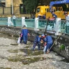 Công nhân vệ sinh môi trường thu gom cá chết tại hồ Tây. (Ảnh: Mai Linh/TTXVN)