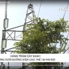 [Video] Hà Nội: Lo ngại về hàng cây xanh trồng dưới đường điện cao thế