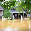 Nhiều nhà dân trên địa bàn huyện Hương Khê ngập sâu trong nước. (Ảnh: TTXVN)