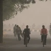 Khói mù ô nhiễm bao phủ New Delhi, Ấn Độ. (Nguồn: AFP/TTXVN)