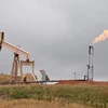 Máy bơm dầu ở Williston, Bắc Dakota, Mỹ ngày 6/9. (Nguồn: AFP/TTXVN)