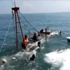 [Video] Thực hư việc tàu thanh tra đâm chìm tàu ngư dân ở Thanh Hóa
