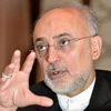 Giám đốc Tổ chức Năng lượng Nguyên tử Iran Ali Akbar Salehi. (Nguồn: Kyodo/TTXVN)
