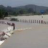 Nước lũ dâng cao ở xã Quế Lộc. (Ảnh: Đỗ Trưởng/TTXVN) 