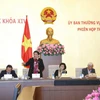 Phó Chủ tịch Quốc hội Tòng Thị Phóng phát biểu ý kiến. (Ảnh: Doãn Tấn/TTXVN)
