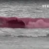 [Video] Lý giải về những vệt nước màu đỏ ven biển Đà Nẵng