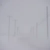 Tuyết rơi mù mịt khi bão tuyết tràn vào Ephrata, bang Pennsylvania (Mỹ) ngày 14/3. (Nguồn: AFP/TTXVN)