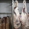 Thịt bày bán tại một cửa hàng ở Sao Paulo, Brazil, ngày 20/3. (Nguồn: AFP/TTXVN)