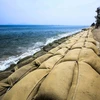 Người dân dựng tạm con đê bằng bao cát để chắn sóng, hạn chế sự xâm lấn của biển dọc theo dải bờ biển Cửa Đại. (Ảnh: Trọng Đạt/TTXVN)