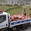 Lực lượng chức năng chở số thịt lợn không đảm bảo an toàn đi tiêu hủy. (Ảnh: Quốc Đạt/TTXVN)