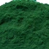 Tảo xoắn Spirulina platensis