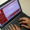 Một lập trình viên đưa ra mẫu của một vụ tấn công mạng "tổng tiến" trên máy tính cá nhân tại Đài Bắc, Đài Loan. (Nguồn: EPA/TTXVN)