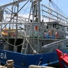 Tàu vỏ thép công suất hơn 800 mã lực được đóng mới theo Nghị định 67 bị sự cố trong cả 2 chuyến đi biển đang neo đậu tại cảng cá Phú Lạc, Phú Yên. (Ảnh: Thế Lập/TTXVN)