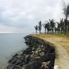 Bờ biển Hội An phải kè đá để làm chậm quá trình biển xâm thực. (Nguồn: Vietnam+)