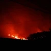 Hỏa hoạn cực lớn thiêu rụi nhiều diện tích rừng phòng hộ Sóc Sơn