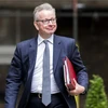 Bộ trưởng Môi trường Anh Michael Gove tới cuộc họp nội các ở London ngày 12/6. (Nguồn: EPA/TTXVN)