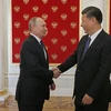  Tổng thống Nga Vladimir Putin (trái) và Chủ tịch Trung Quốc Tập Cận Bình (phải) tại cuộc gặp ở Moskva ngày 3/7. (Nguồn: AFP/TTXVN)