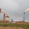Một cơ sở lọc dầu gần Williston, Bắc Dakota (Mỹ). (Nguồn: AFP/TTXVN)