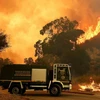 Các đợt cháy rừng đã lan rộng khắp Nam Âu, bao gồm cả Sicily, trong tháng 7. (Nguồn: AFP/Getty)