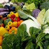 Vitamin B3 có nhiều trong các loại rau xanh. (Nguồn: AFP/TTXVN)