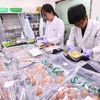 Kiểm tra trứng gia cầm tại Cơ quan kiểm tra chất lượng các sản phẩm nông nghiệp quốc gia ở tỉnh Gyeonggi. (Nguồn: YONHAP/TTXVN)
