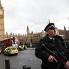 Cảnh sát gác bên ngoài tòa nhà Quốc hội Anh. (Nguồn: Getty)
