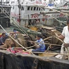 Ngư dân neo đậu tàu thuyền tại cảng ở Thái Châu, tỉnh Chiết Giang ngày 12/9 để tránh bão Talim. (Nguồn: THX/TTXVN)